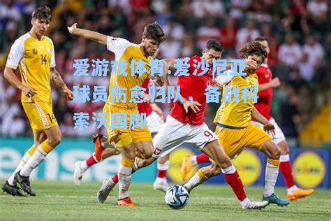 爱游戏体育:爱沙尼亚球员伤愈归队，备战科索沃国脚