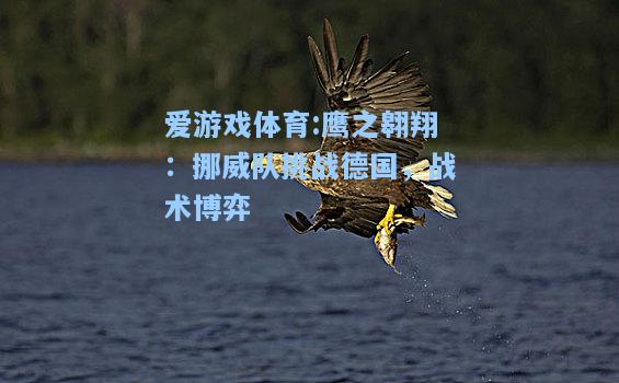爱游戏体育:鹰之翱翔：挪威队挑战德国，战术博弈