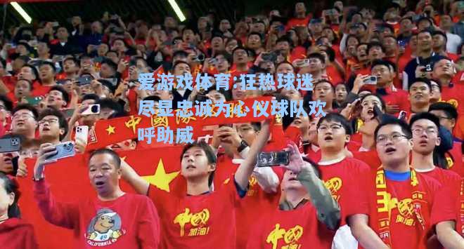 爱游戏体育:狂热球迷尽显忠诚为心仪球队欢呼助威
