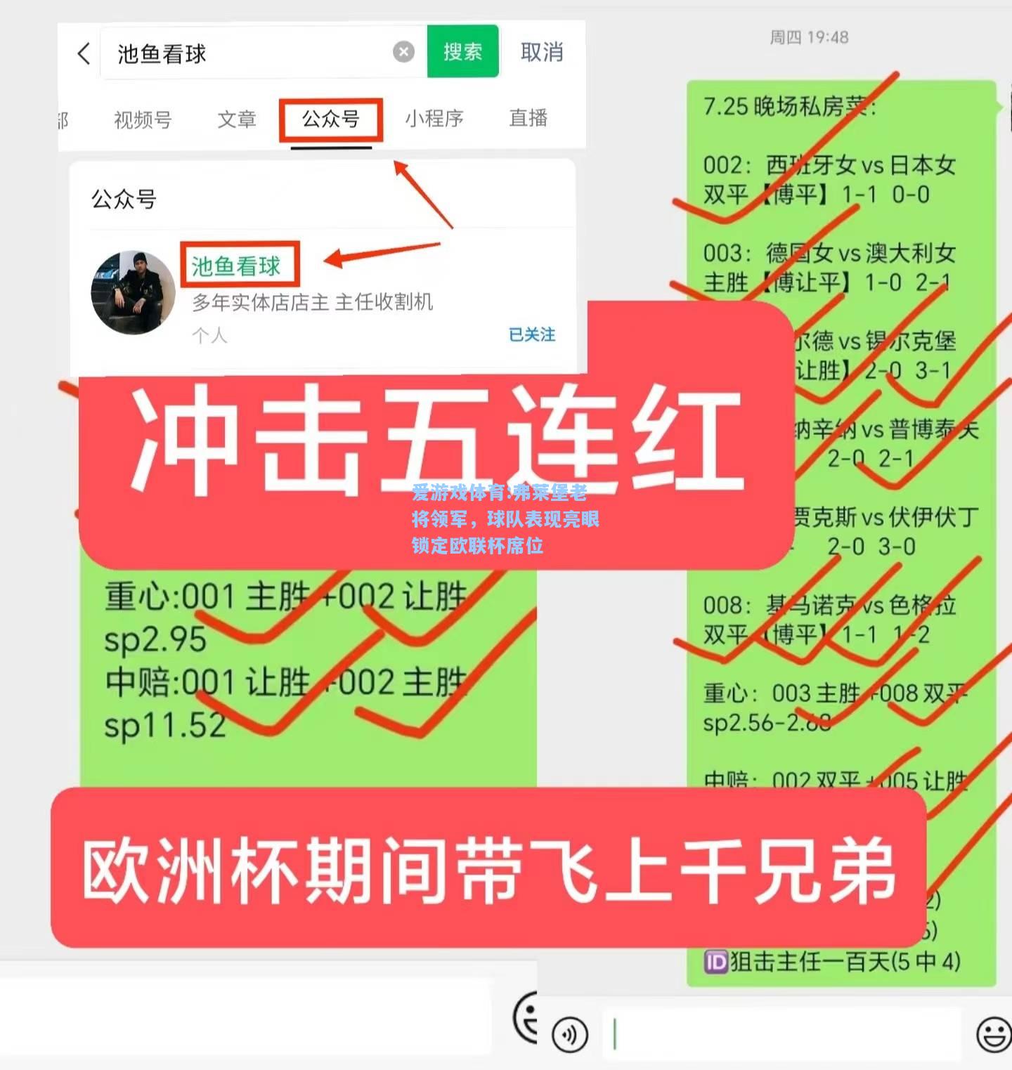 爱游戏体育:弗莱堡老将领军，球队表现亮眼锁定欧联杯席位